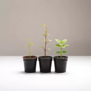 szkolenie okresowe bhp co ile