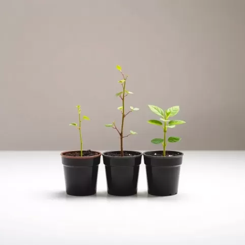 szkolenie okresowe bhp co ile